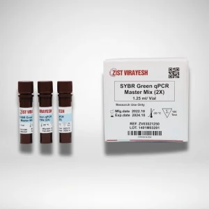 SYBR Green qPCR Master Mix (2X) | مسترمیکس سایبرگرین