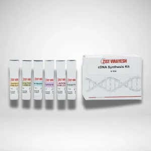 cDNA Synthesis Kit | کیت سنتز cDNA