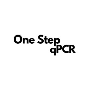 One Step qPCR