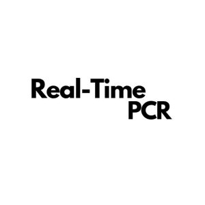 Real-Time PCR