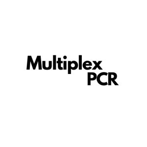 Multiplex PCR