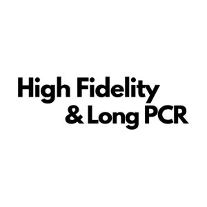High Fidelity & Long PCR